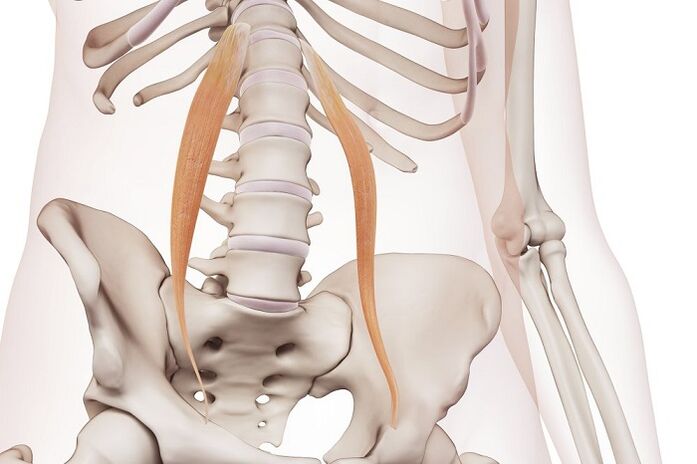 gerinc osteochondrosis az ágyéki régióban a betegség lényege